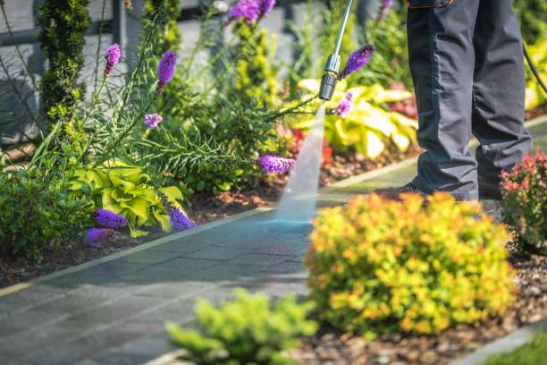 Best Parking Lot and Garage Cleaning  in Lakehills, TX